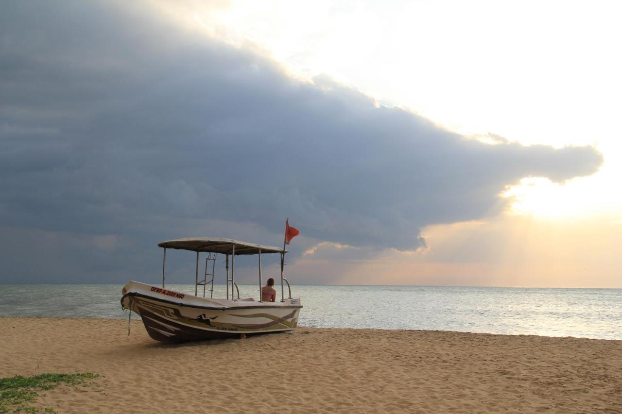 Zendara Hotel Negombo Dış mekan fotoğraf