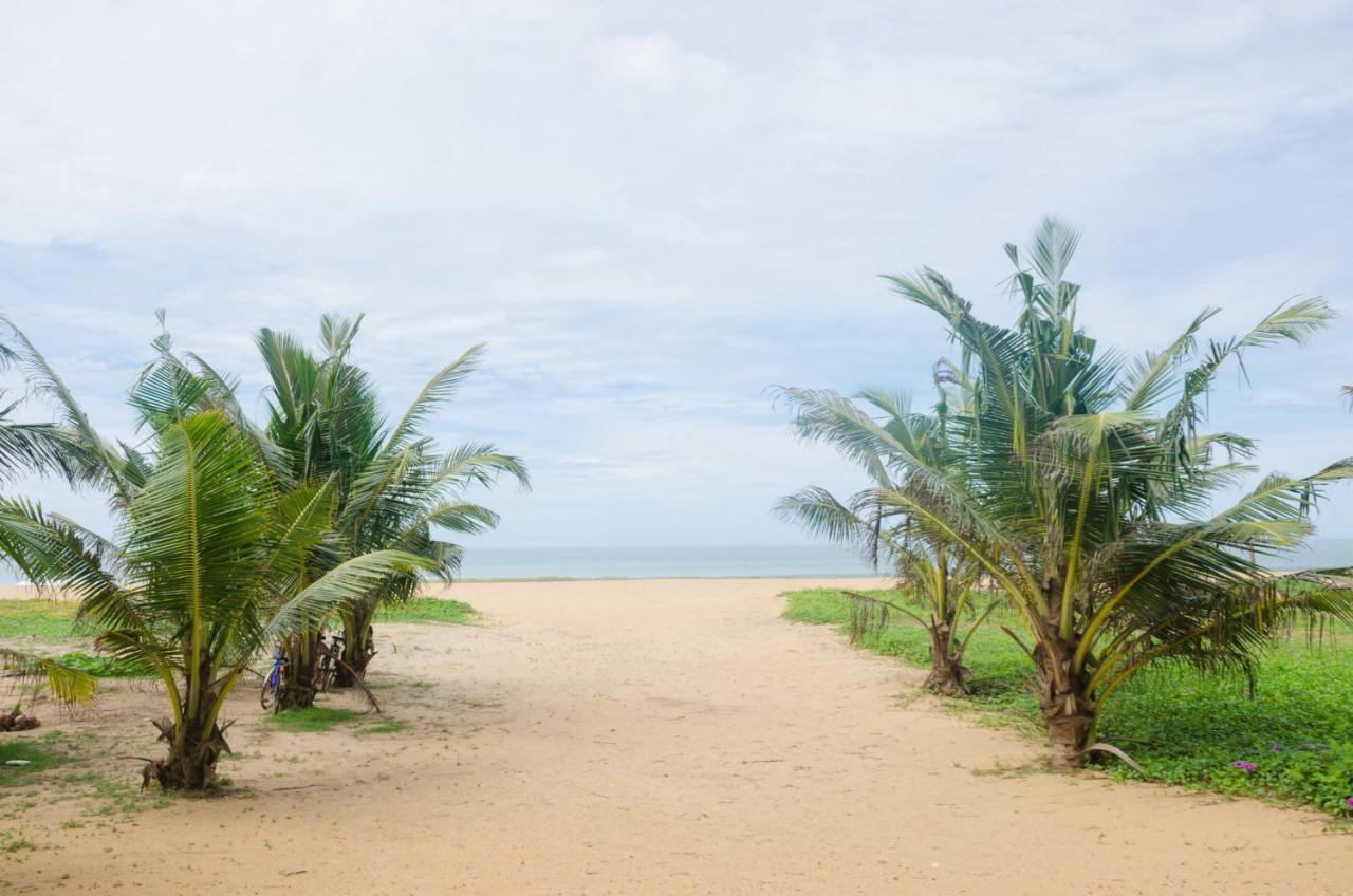 Zendara Hotel Negombo Dış mekan fotoğraf